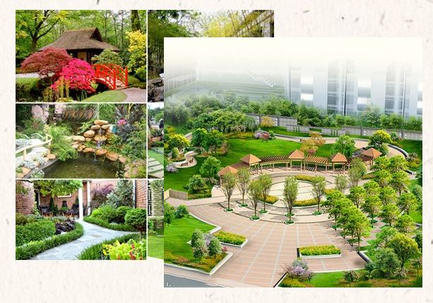 Công ty TNHH TMDV Cảnh Quan Hoàng Gia