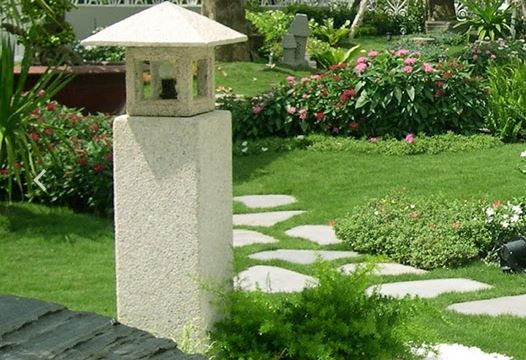 Cây cảnh Sài Gòn